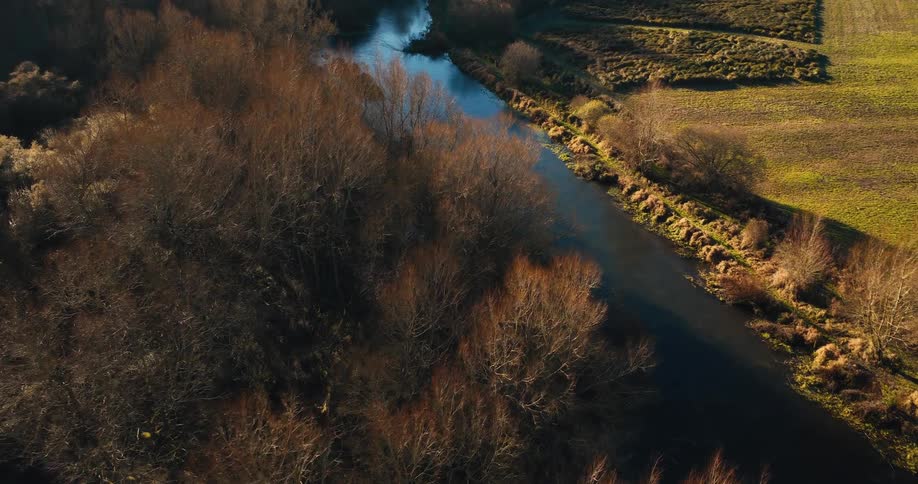 A river with still water and with beige grass in the shore