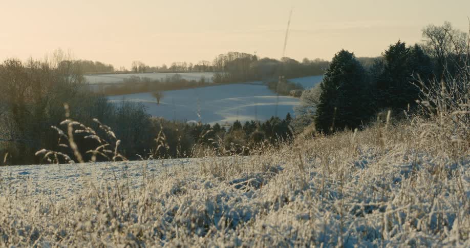 A view of a rolling field covered in white frost and snow with distant trees and hills under a pale sky during a cold winter morning