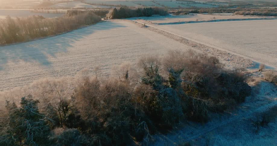 Snow covers the fields between frost covered groves on a sunny winter day