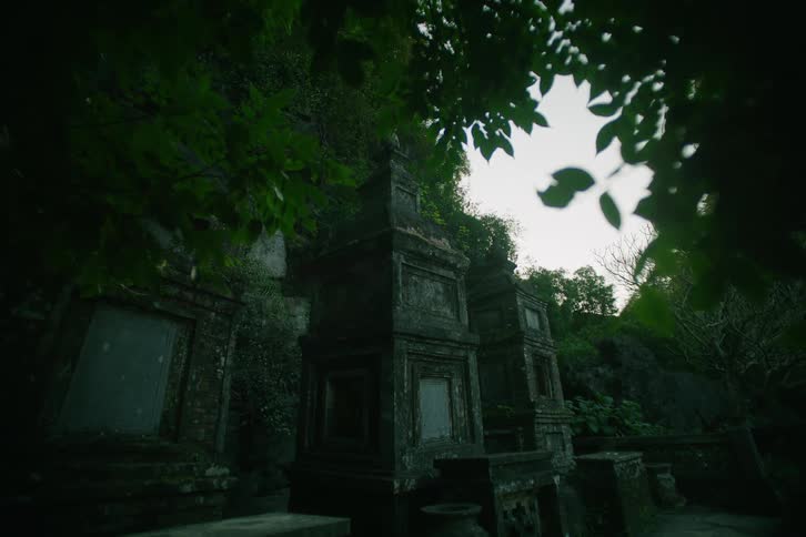 A cluster of ancient mosscovered stone stupas stands nestled within a dense shadowed forestframed by dark overhead foliage the weathered structures point toward a pale overcast sky