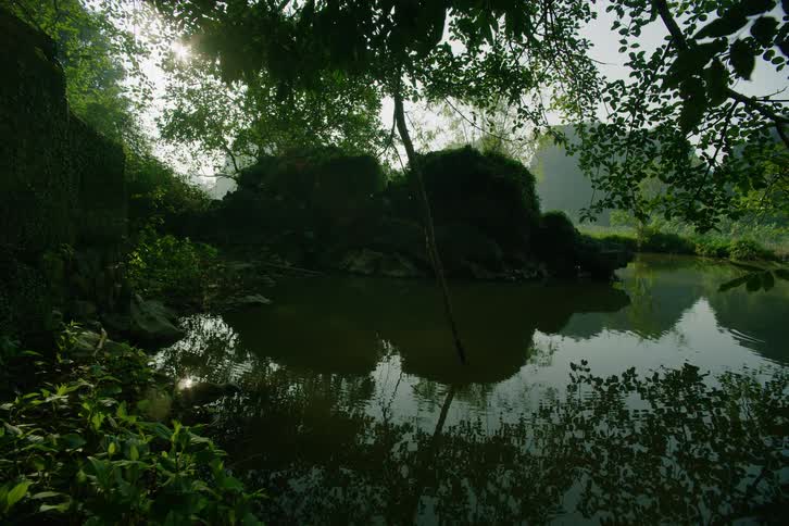 Sunlight filters through dense overhanging tree branches casting a bright glow over a tranquil pond tucked into a lush landscapethe dark craggy rocks in the center are perfectly mirrored in the still water surrounded by vibrant green foliage and mi