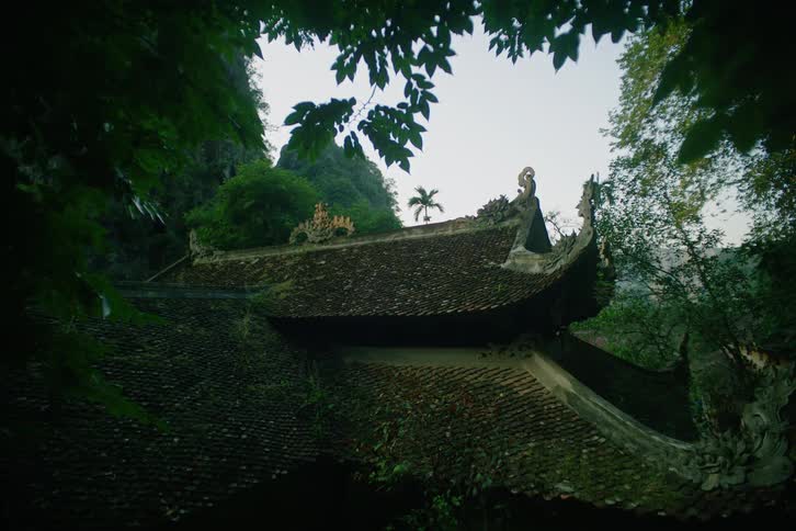 A view through green leaves shows the dark tiled roofs of a traditional temple building with curved eaves and decorative stone figures situated among lush trees and steep rock cliffs