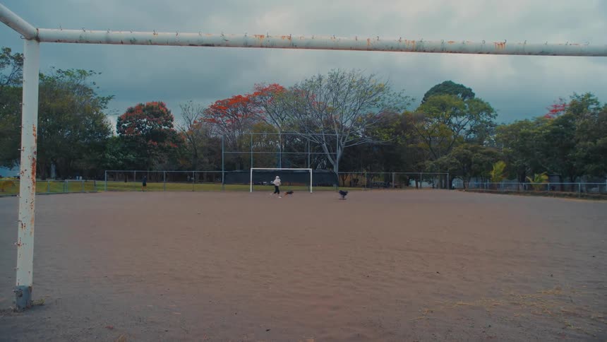 Person runs on a soccer field with his dogs while others walk through the park on a cloudy autumn day