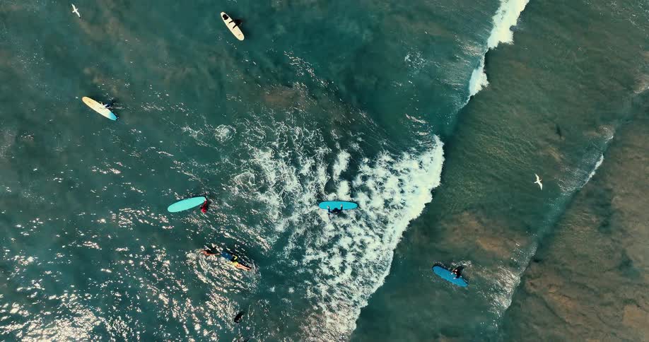 An aerial view shows many people on surfboards in dark blue water with white foam from waves and a few birds flying above