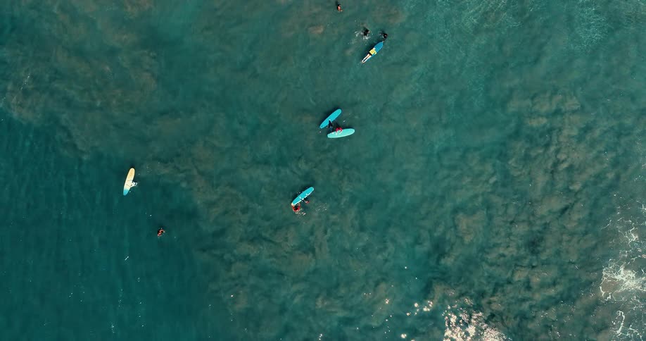 The footage displays a highangle aerial view of several surfers on their boards in turquoise ocean wateras the surfers float or paddle small white waves begin to roll into the frame from the right side