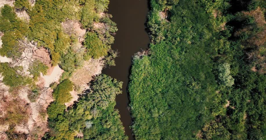An aerial view of a river