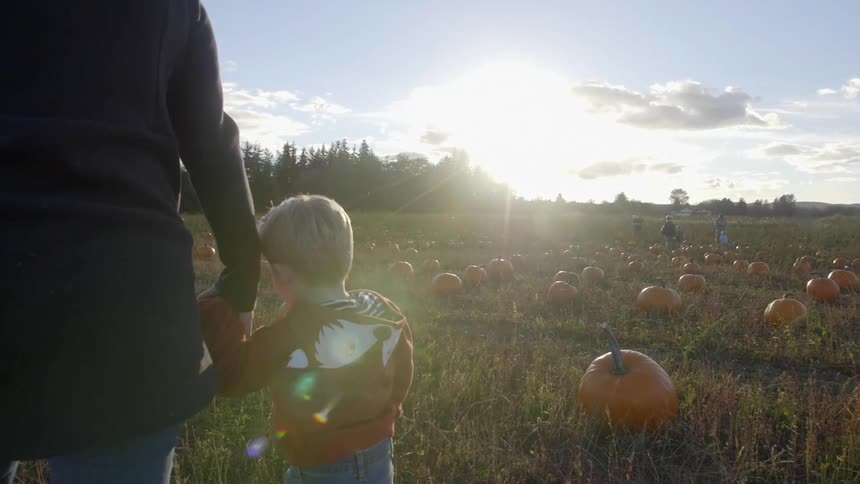 A woman and young boy hold hands while walking through a pumpkin patch