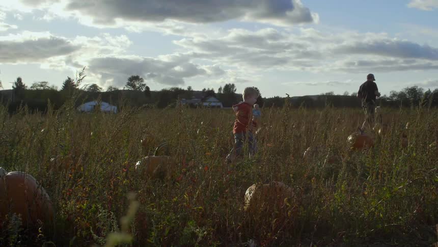 A young boy runs in a  field with pumpkins