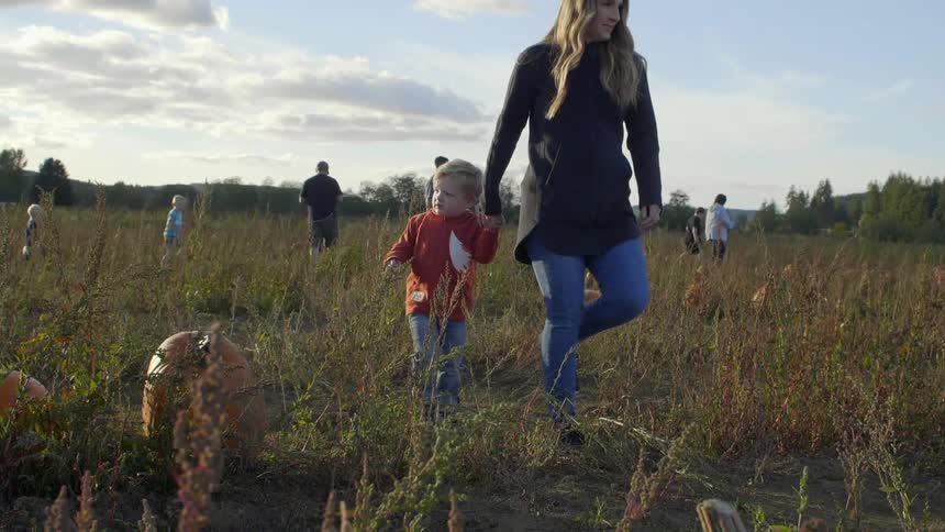 Woman holding the hand of little boy walking through a pumpkin patch