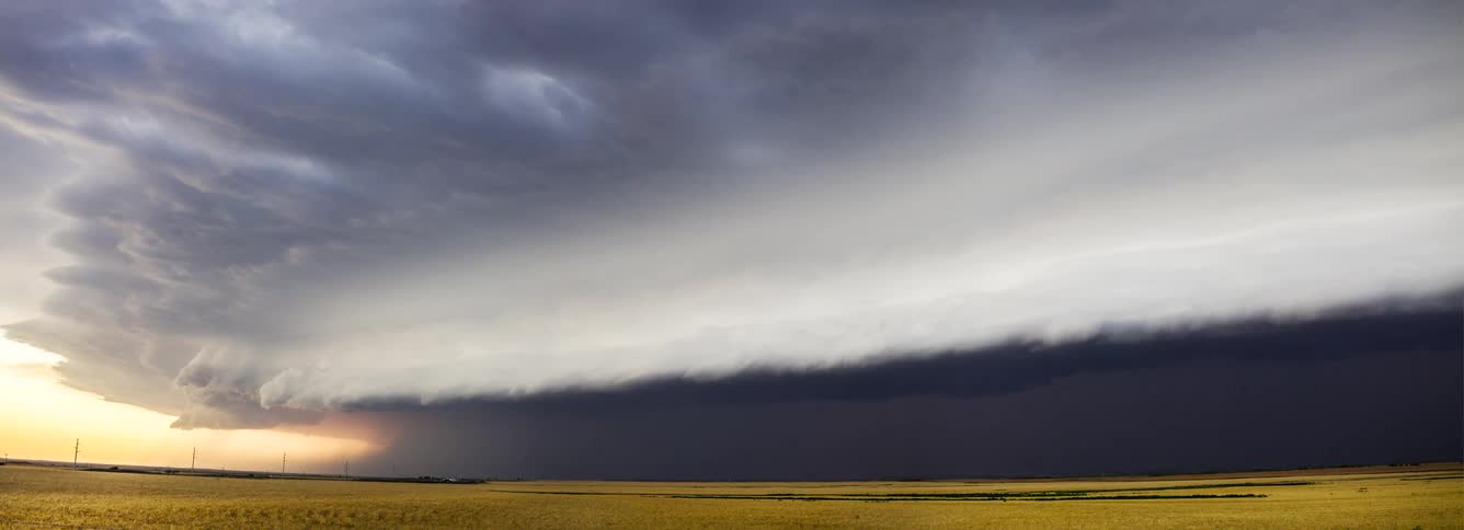 Dark storm clouds with a shelf formation move over a vast golden wheat field under a moody sky during a summer evening in the countryside