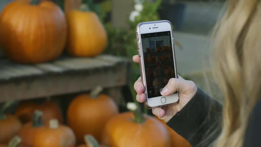 Woman takes picture of pumpkins on her phone