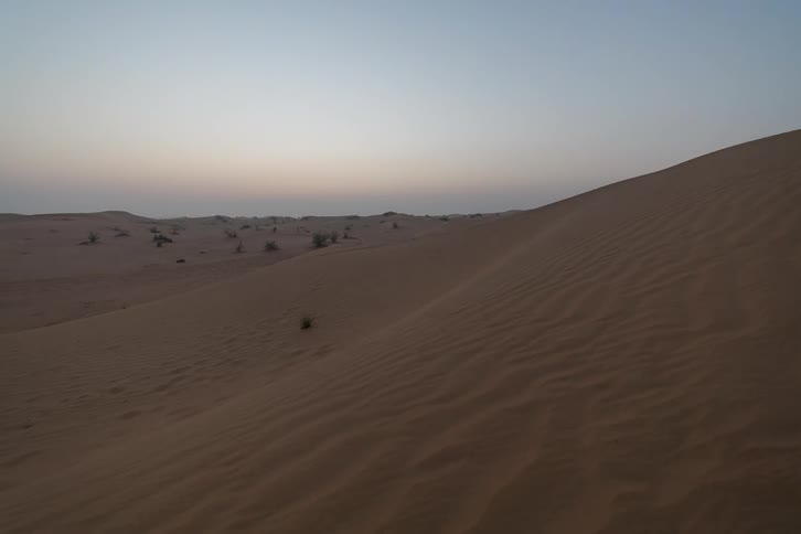 Plants scattered across a desert mountain slope and distant lights fade as the sun rises on the horizon