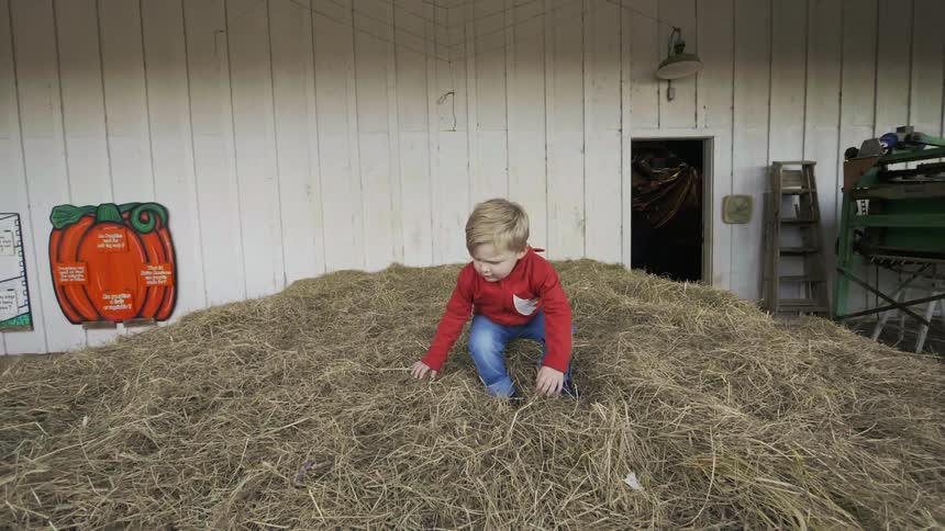 A young boy sits in a pile of hay