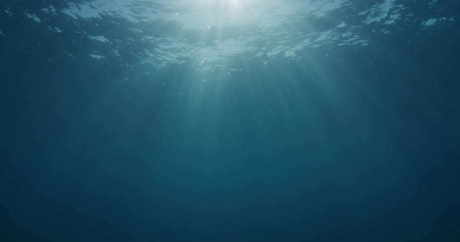 Sunlight streams down through the surface of the ocean illuminating the deep blue water below