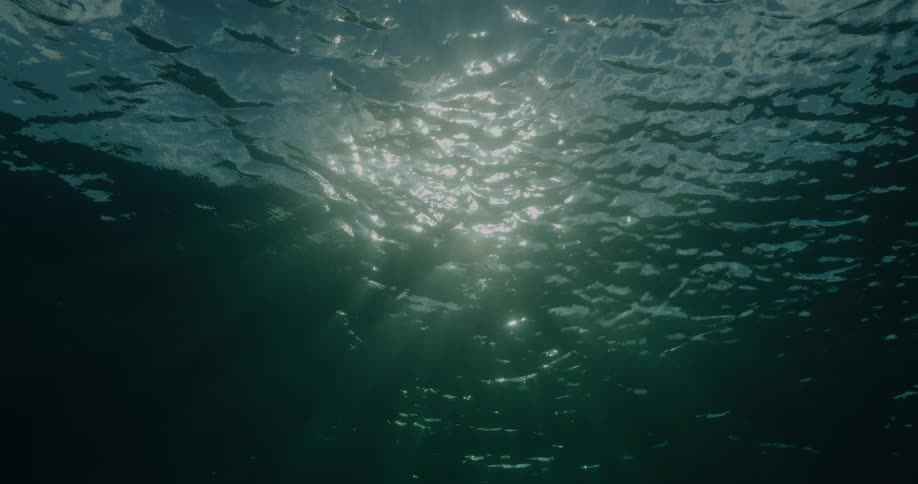 Sunlight passes through the water surface viewed from below with visible reflections and ripples