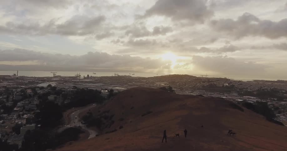 Trees sit on a hill overlooking a city
