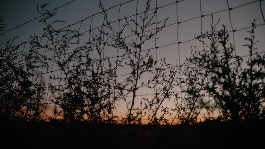 The sun is rising on the wire fence