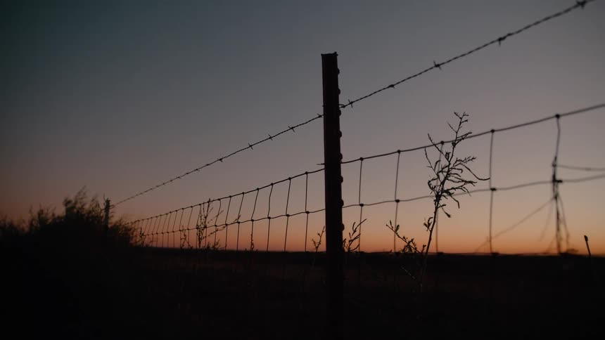 The field is dark as the sun rises