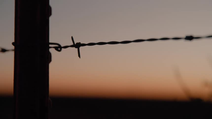 A close view of a single sharp metal barb on a wire fence stands in silhouette against a soft orange and purple twilight sky over a dark field