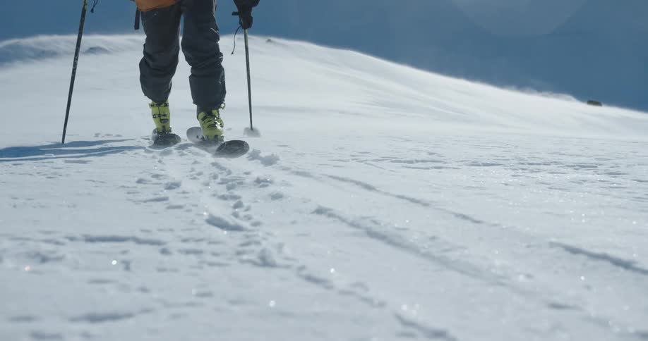 A person cross country skiing on a snowy day