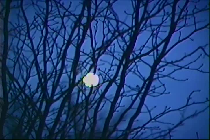 A bright glowing sun is partially obscured by dark leafless tree branches against a deep blue sky