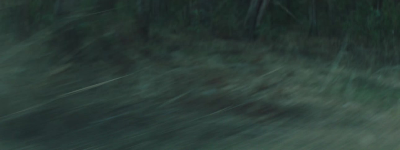 Two mountain bikers competing in the woods at midday