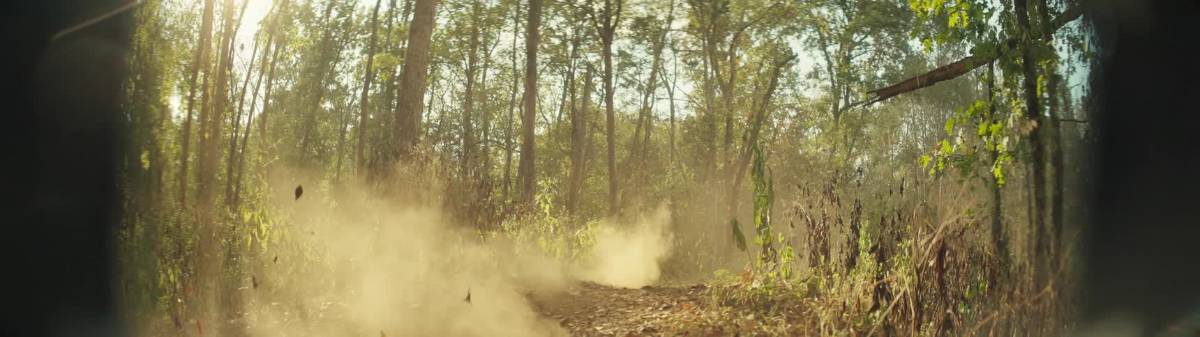 Motocross rider jumps a dirt bike on a forest trail kicking up dust