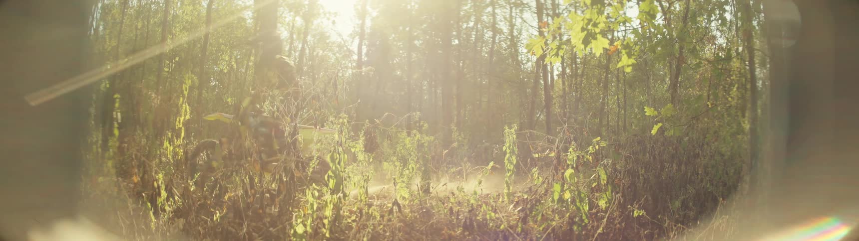 A person rides a dirt bike along a forest trail on a very sunny day