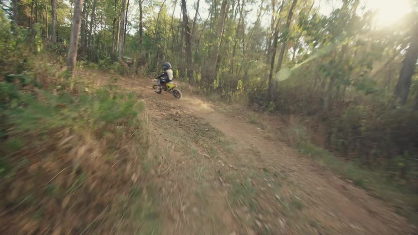 A person wearing a helmet and racing gear rides a yellow dirt bike along a winding path through a forest of thin trees during a sunny day in a following view
