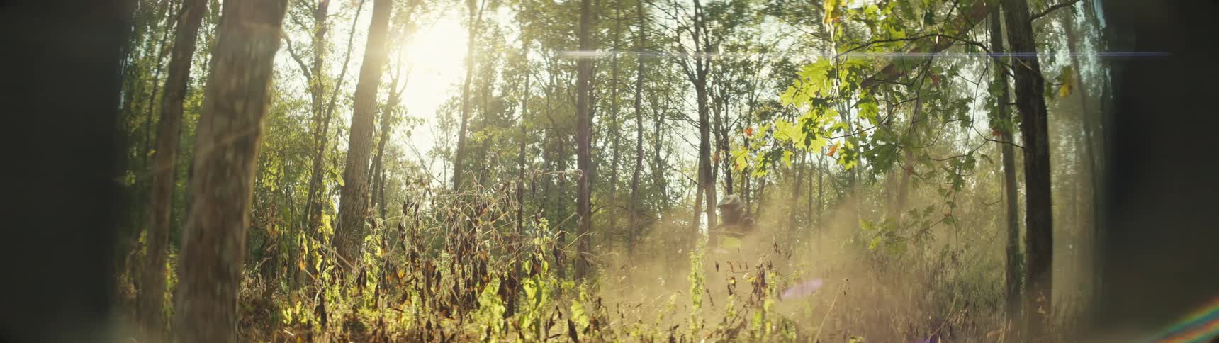 A dirt bike rider speeds through a sunlit forest dust rising behind him as warm light filters through the trees