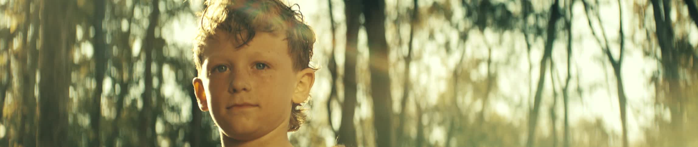 Boy looks into the camera with a slight smile on his face as he stands in the woods