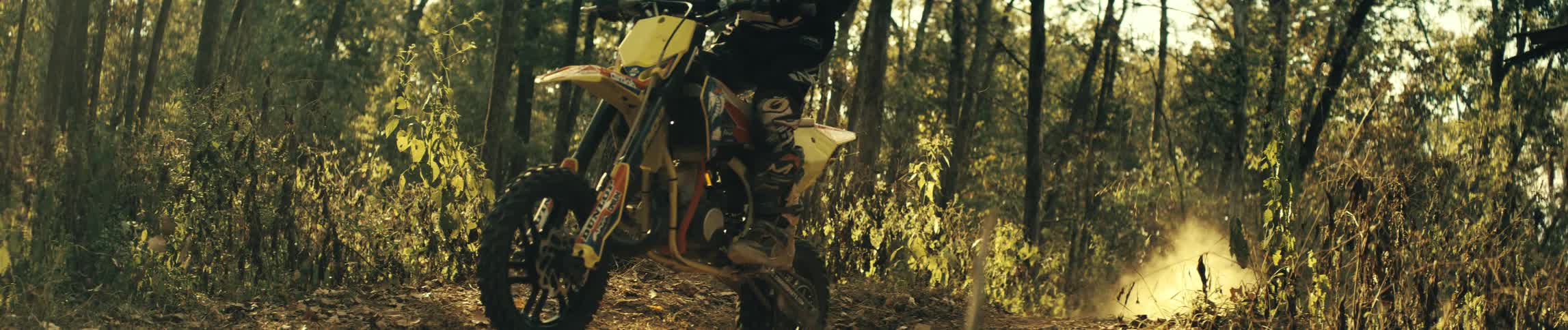 Plants and vegetation in the woods as a motorcycle emerges from a trail between the trees