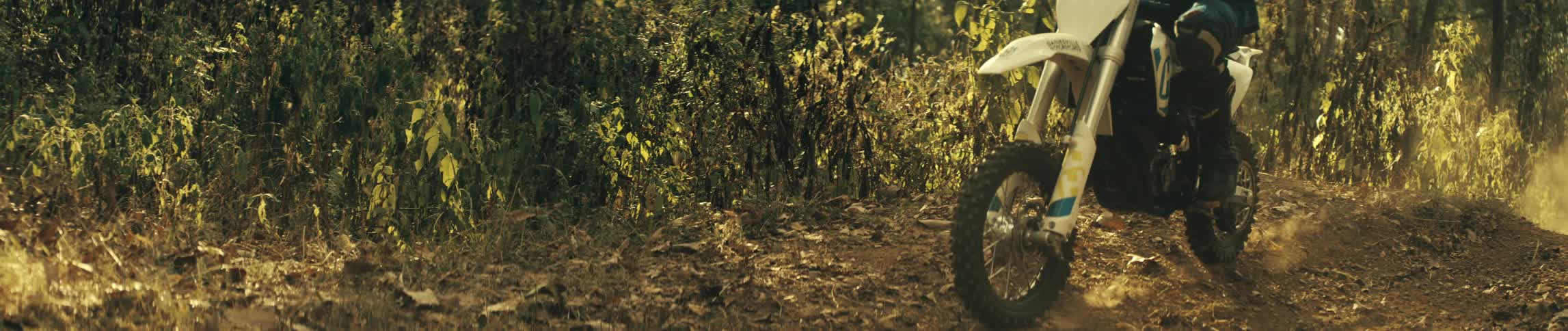 A person drives a dirt bike along a trail that passes through a grove of trees