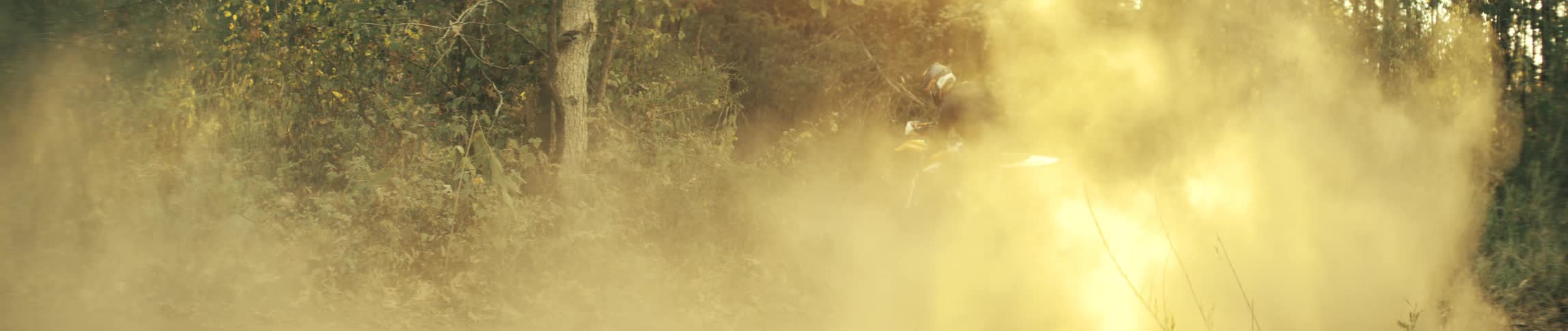 Motorcyclist rides along a forest trail while a cloud of golden dust spreads around him