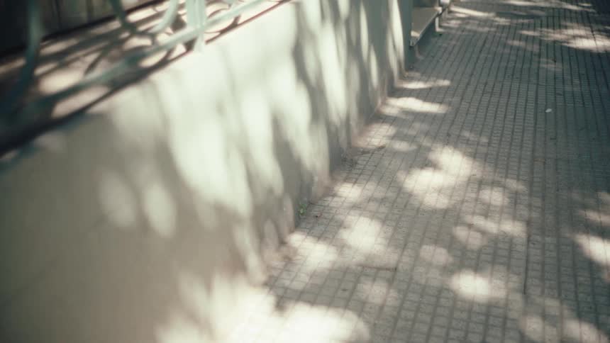 Sidewalk with tiled pavement beside a wall with railings with tree shadows cast by sunlight