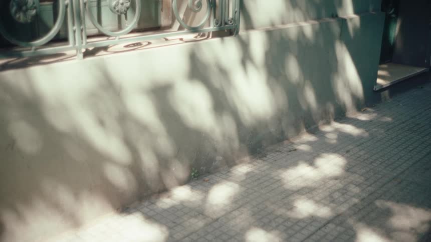The video shows leafy shadows dancing across a grey stone wall and a tiled sidewalka green wrought iron fence is visible at the top of the frame above the wall