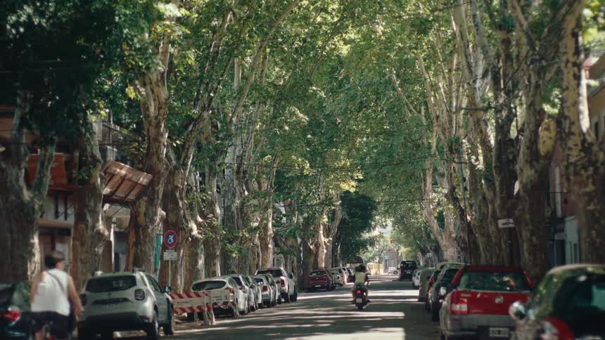 A person on a scooter drives down a narrow urban street shaded by a thick canopy of tall trees while cars remain parked along both sides of the road in the afternoon sun