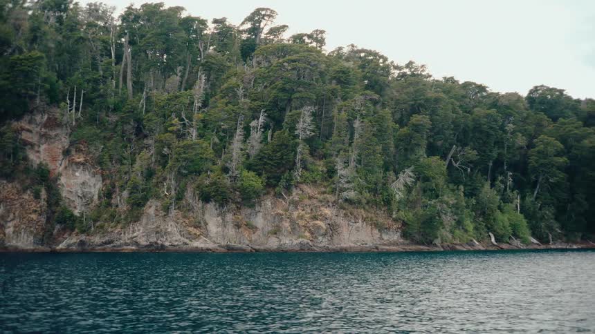 A dense forest growing on top of a steep rocky cliff right next to a large body of water under an overcast sky