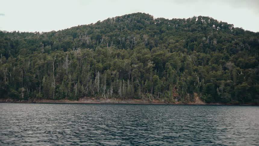 A view of a river next to some trees and a hill