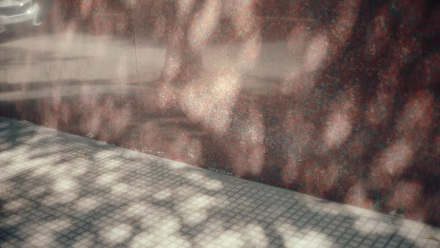 Soft shadows from leaves move across a tiled sidewalk and a red granite wall in bright sunlight