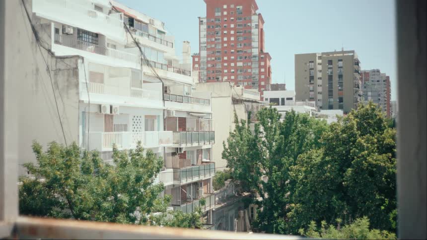 Trees grow tall next to apartment buildings in a city