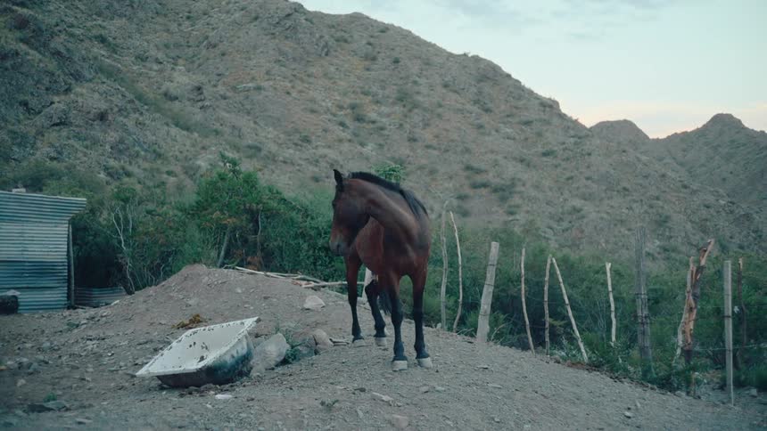 A brown horse stands in a simple enclosure near the mountains