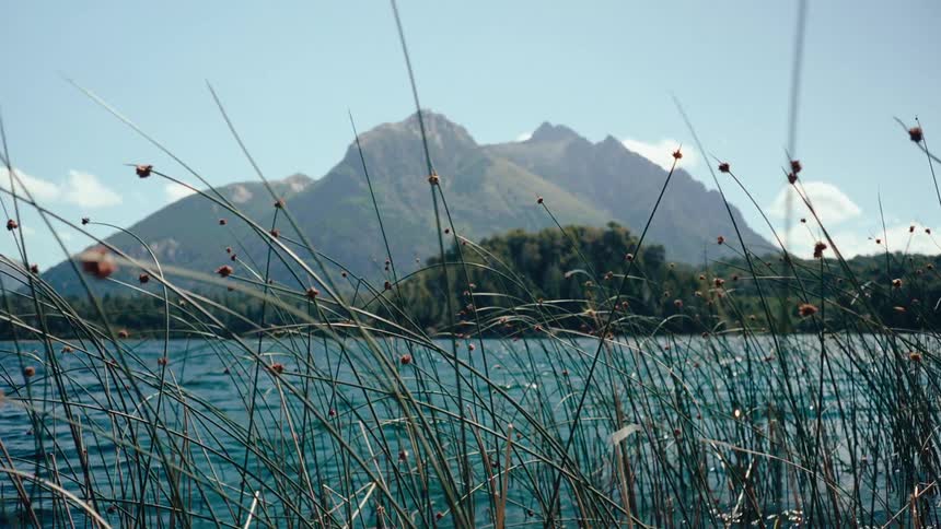 Tall green reeds sway in the foreground of a wide blue lake while a large mountain with jagged peaks sits under a clear sky in the distance