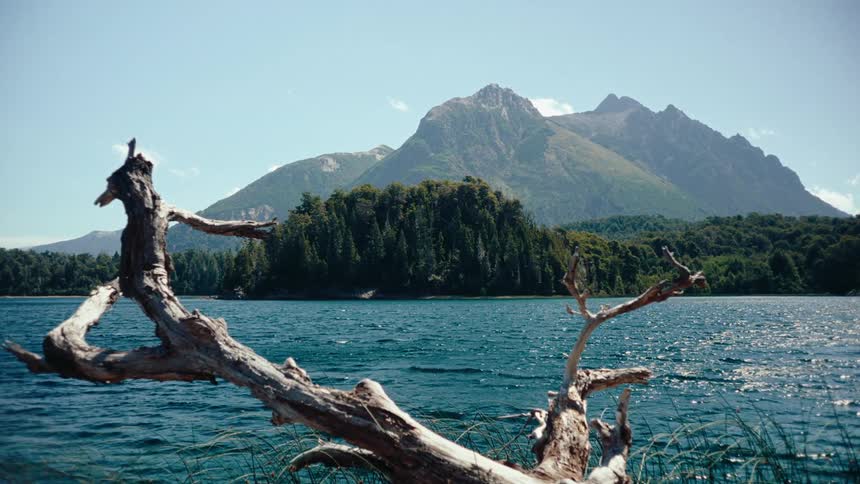 Dead driftwood sits on the shore across the water from forests and mountains on a cloudy day