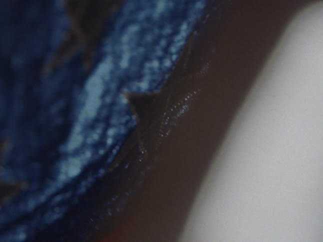 A close view of an american flag shows the textured blue fabric and a single embroidered star as the material moves gently in soft light