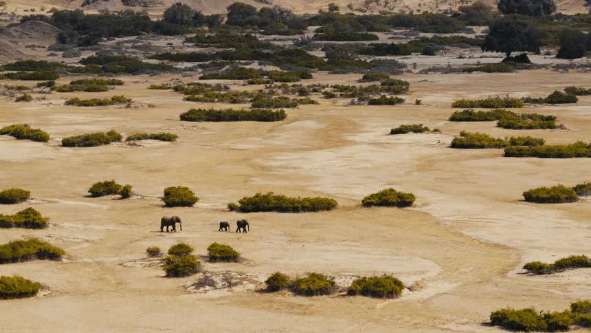 A trio of elephants treks across a vast sandy desert valley dotted with low green shrubs captured from a sweeping aerial perspective that highlights the immense scale of the arid landscape