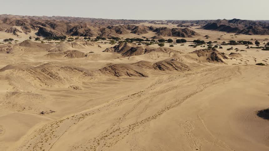 A wide view of a vast desert landscape features rolling sand dunes and dark rocky hills under a clear sky with a thin line of green trees visible in the distance
