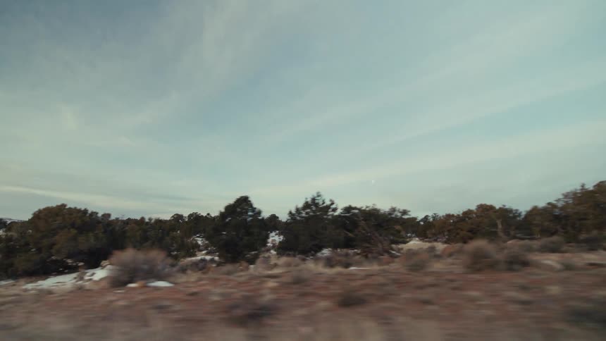 The long fields are covered with trees and sand