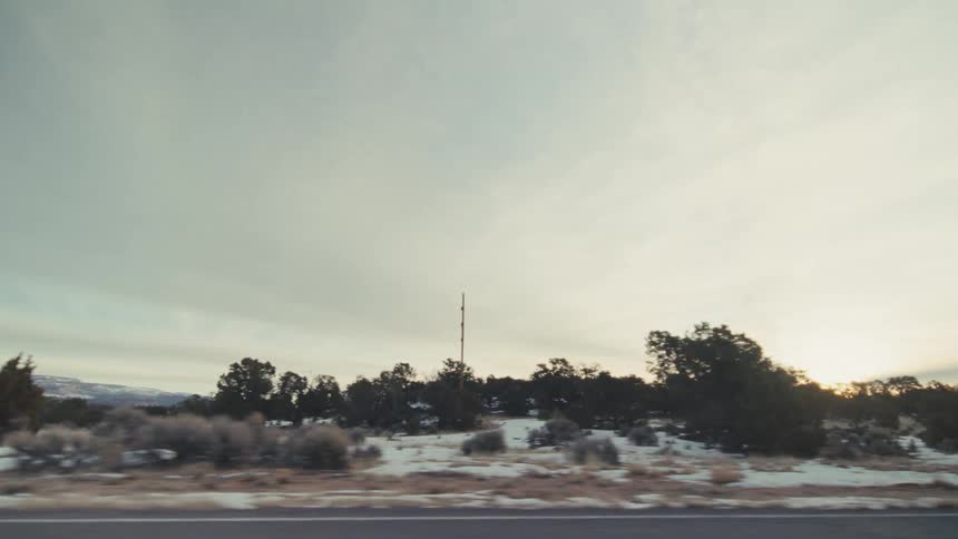 Trees and plants on the roadside landscape with snow on the ground under a cloudy sky