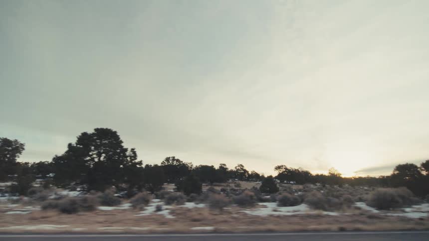 Trees and plants on the roadside landscape with snow on the ground under a cloudy sky